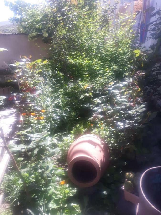 Mtsʼkhetʼa Guest House Sveti מראה חיצוני תמונה